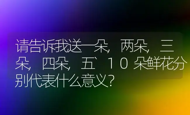 请告诉我送一朵,两朵,三朵,四朵,五`10朵鲜花分别代表什么意义？ | 绿植常识