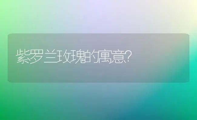 紫罗兰玫瑰的寓意？ | 绿植常识