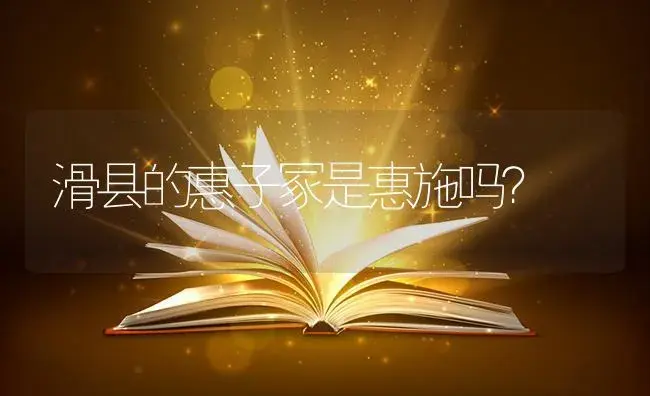 滑县的惠子冢是惠施吗？ | 多肉养殖