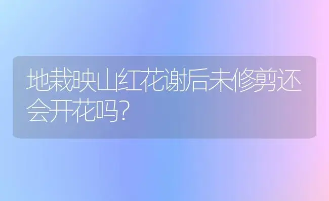 地栽映山红花谢后未修剪还会开花吗？ | 绿植常识