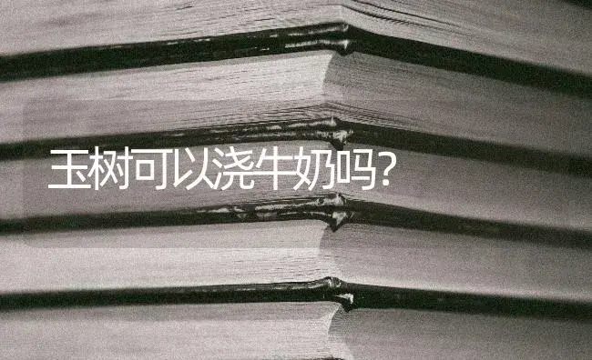 玉树可以浇牛奶吗？ | 多肉养殖