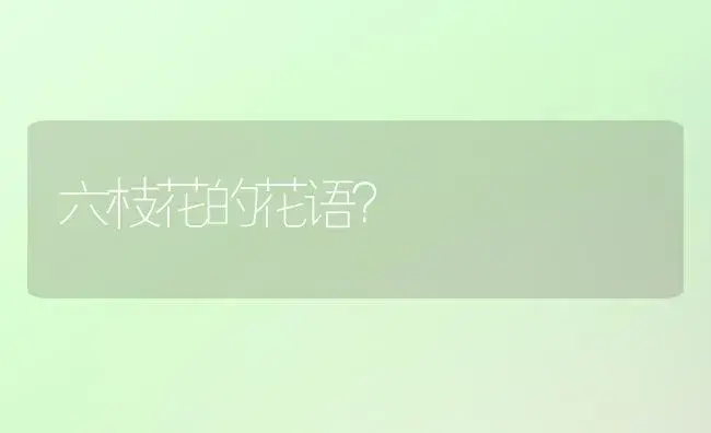 蝴蝶兰的寓意和象征？ | 绿植常识