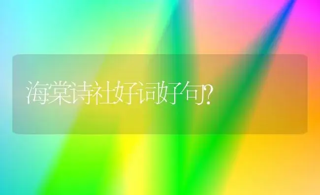 海棠诗社好词好句？ | 绿植常识