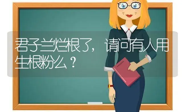 君子兰烂根了,请问有人用生根粉么？ | 绿植常识