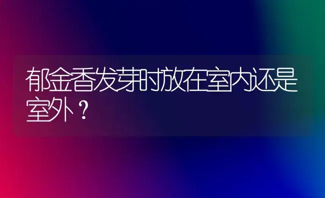 郁金香发芽时放在室内还是室外？ | 绿植常识