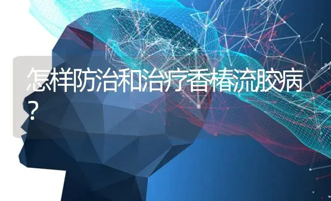 怎样防治和治疗香椿流胶病？ | 特种种植