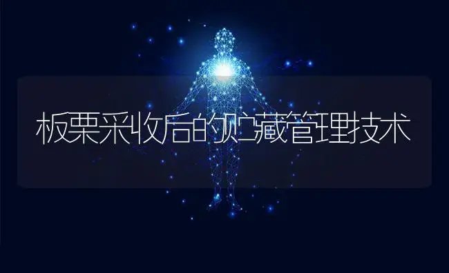 板栗采收后的贮藏管理技术 | 特种种植