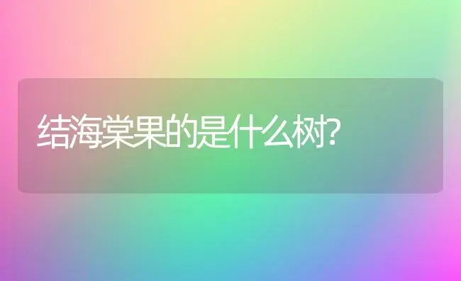 结海棠果的是什么树？ | 绿植常识