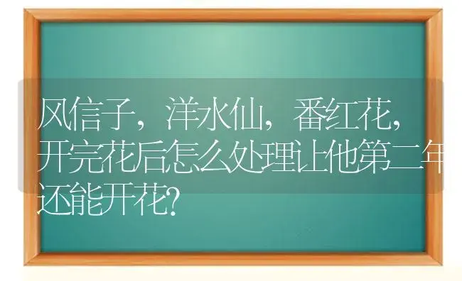 风信子，洋水仙，番红花，开完花后怎么处理让他第二年还能开花？ | 绿植常识