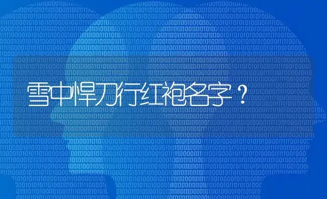 雪中悍刀行红袍名字？ | 多肉养殖