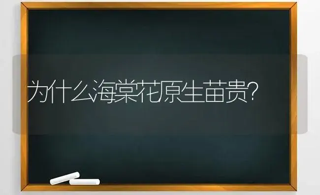 为什么海棠花原生苗贵？ | 绿植常识