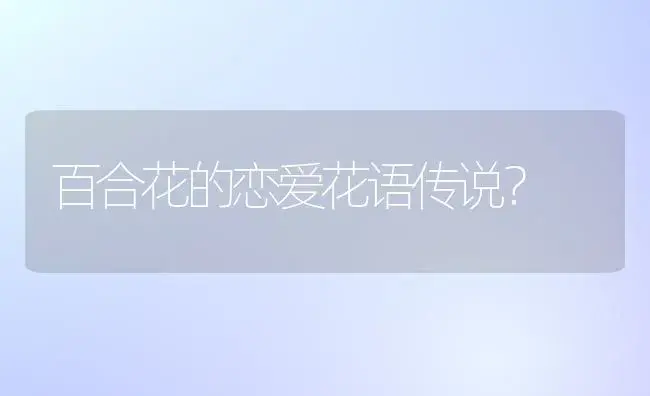 百合花的恋爱花语传说？ | 绿植常识