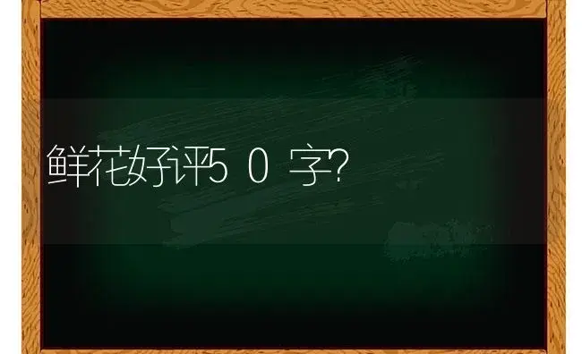 鲜花好评50字？ | 绿植常识