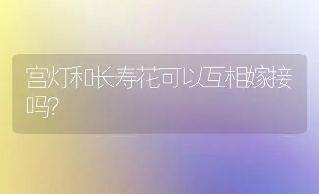 宫灯和长寿花可以互相嫁接吗？ | 多肉养殖