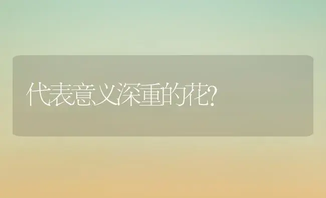 代表意义深重的花？ | 多肉养殖