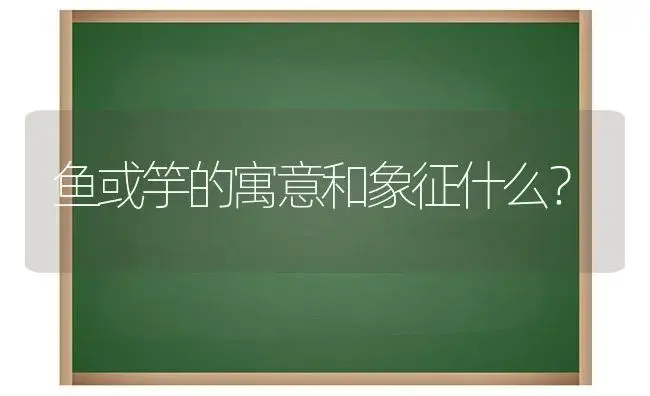 鱼或竽的寓意和象征什么？ | 多肉养殖