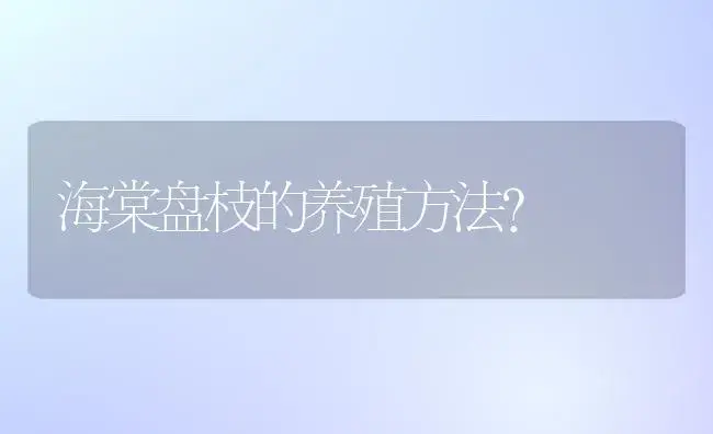 海棠盘枝的养殖方法？ | 绿植常识