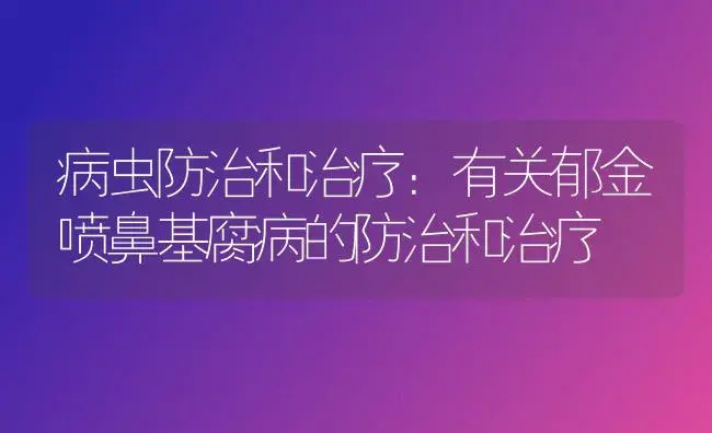 病虫防治和治疗：有关郁金喷鼻基腐病的防治和治疗 | 家庭养花