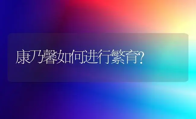 康乃馨如何进行繁育？ | 家庭养花