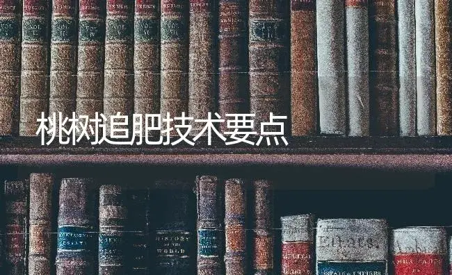 桃树追肥技术要点 | 果木种植