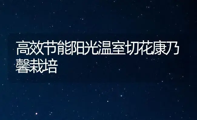 高效节能阳光温室切花康乃馨栽培 | 家庭养花