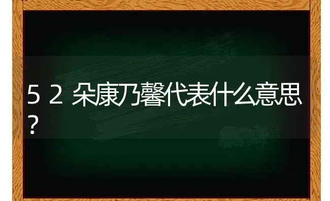 百合花如何水养？ | 绿植常识