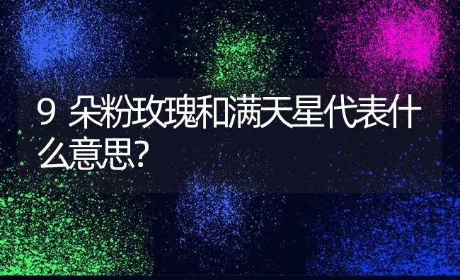 9朵粉玫瑰和满天星代表什么意思？ | 绿植常识