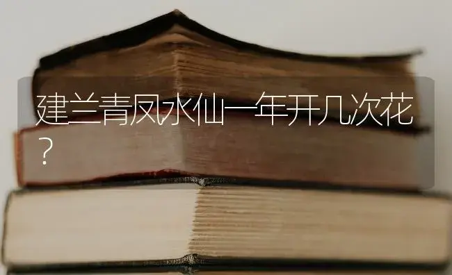 建兰青凤水仙一年开几次花？ | 绿植常识