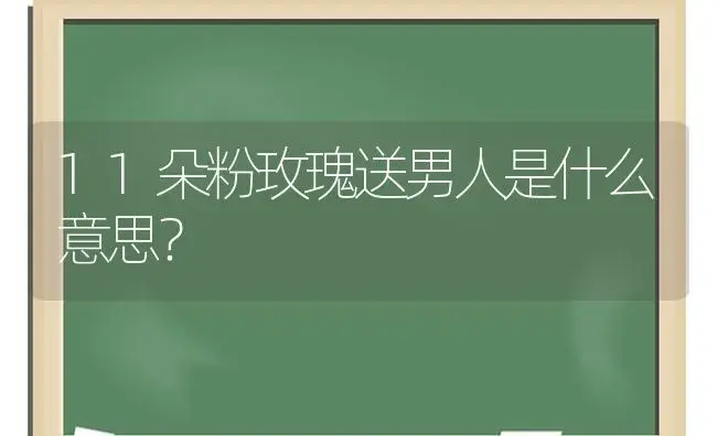 11朵粉玫瑰送男人是什么意思？ | 绿植常识