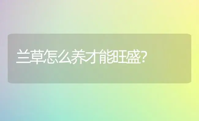 兰草怎么养才能旺盛？ | 绿植常识