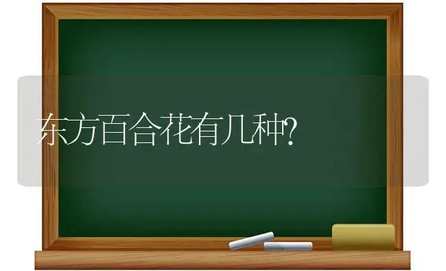 康乃馨第一年开完花以后还会二次生长么？ | 绿植常识