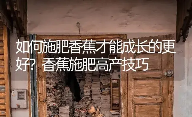 提升苹果树肥效的六种对策 | 果木种植