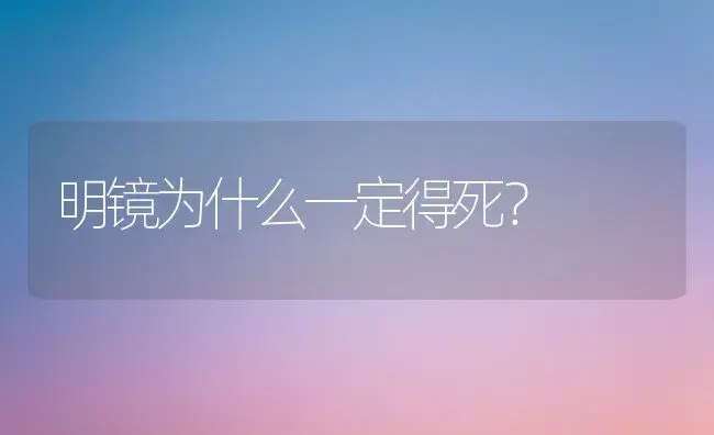 明镜为什么一定得死？ | 多肉养殖