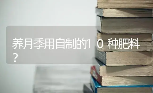 养月季用自制的10种肥料？ | 绿植常识