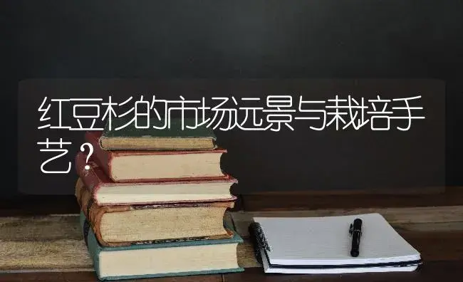 红豆杉的市场远景与栽培手艺？ | 特种种植