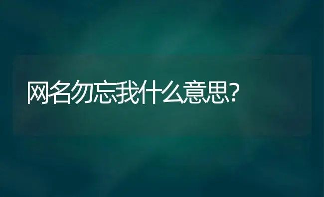 网名勿忘我什么意思？ | 绿植常识