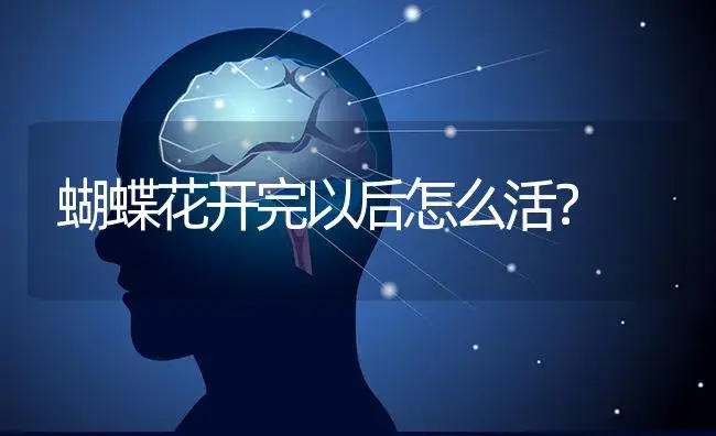 君子兰一年开三次花预示着什么？ | 绿植常识