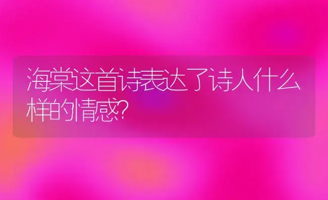 海棠这首诗表达了诗人什么样的情感？ | 绿植常识