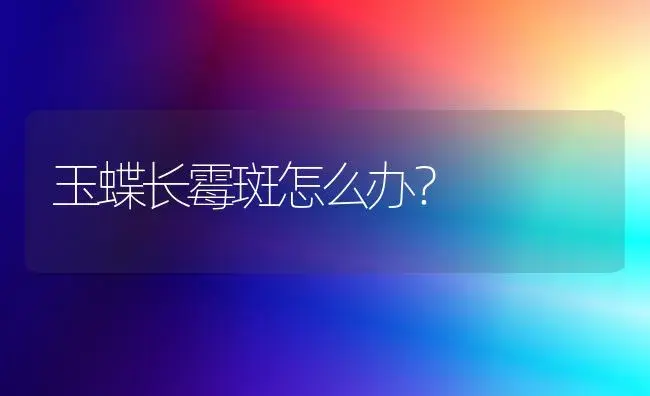 玉蝶长霉斑怎么办？ | 多肉养殖