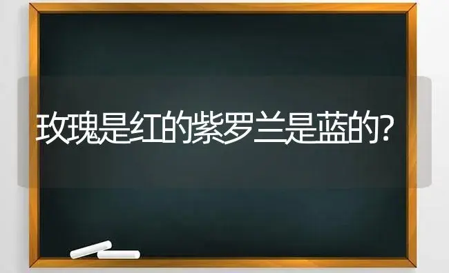 玫瑰是红的紫罗兰是蓝的？ | 绿植常识