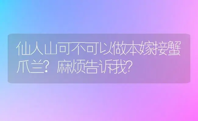 仙人山可不可以做本嫁接蟹爪兰?麻烦告诉我？ | 多肉养殖