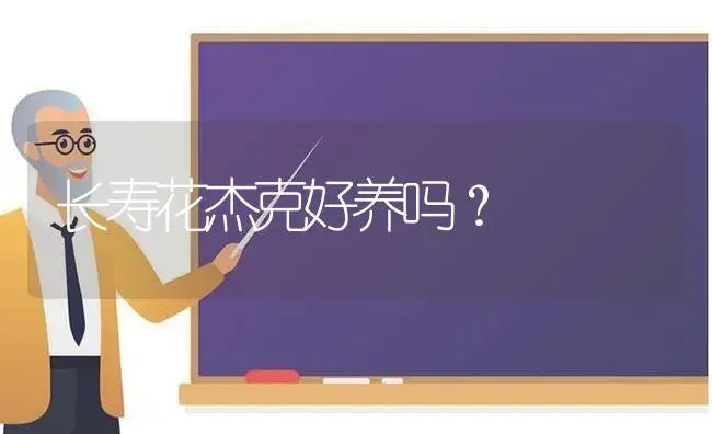 长寿花杰克好养吗？ | 多肉养殖