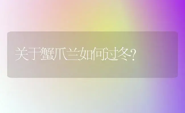 雅客之舞怎么养？ | 多肉养殖