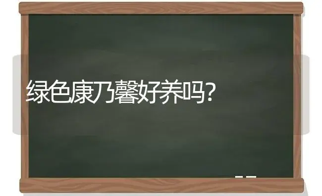 绿色康乃馨好养吗？ | 绿植常识