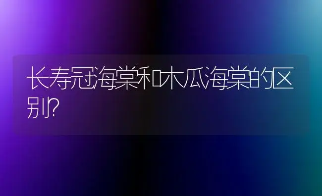 长寿冠海棠和木瓜海棠的区别？ | 绿植常识