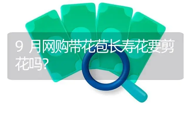 9月网购带花苞长寿花要剪花吗？ | 多肉养殖