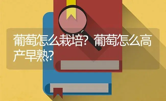 葡萄怎么栽培？葡萄怎么高产早熟？ | 果木种植