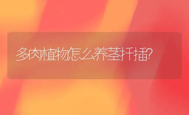 多肉植物怎么养茎扦插？ | 多肉养殖