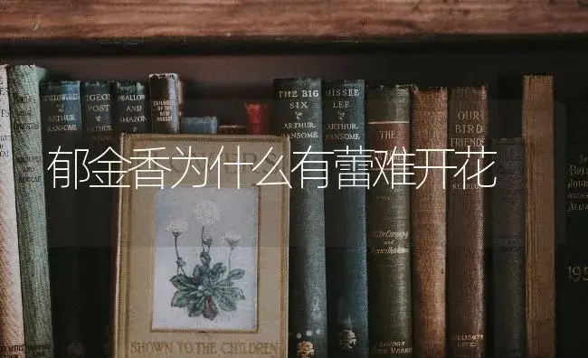 郁金香为什么有蕾难开花 | 特种种植