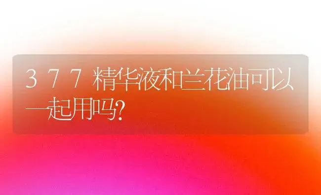 377精华液和兰花油可以一起用吗？ | 绿植常识